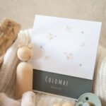 Faire-part oiseaux Colombe